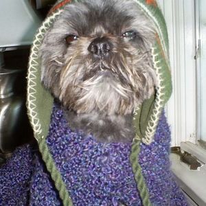 Meet your Posher, Linda